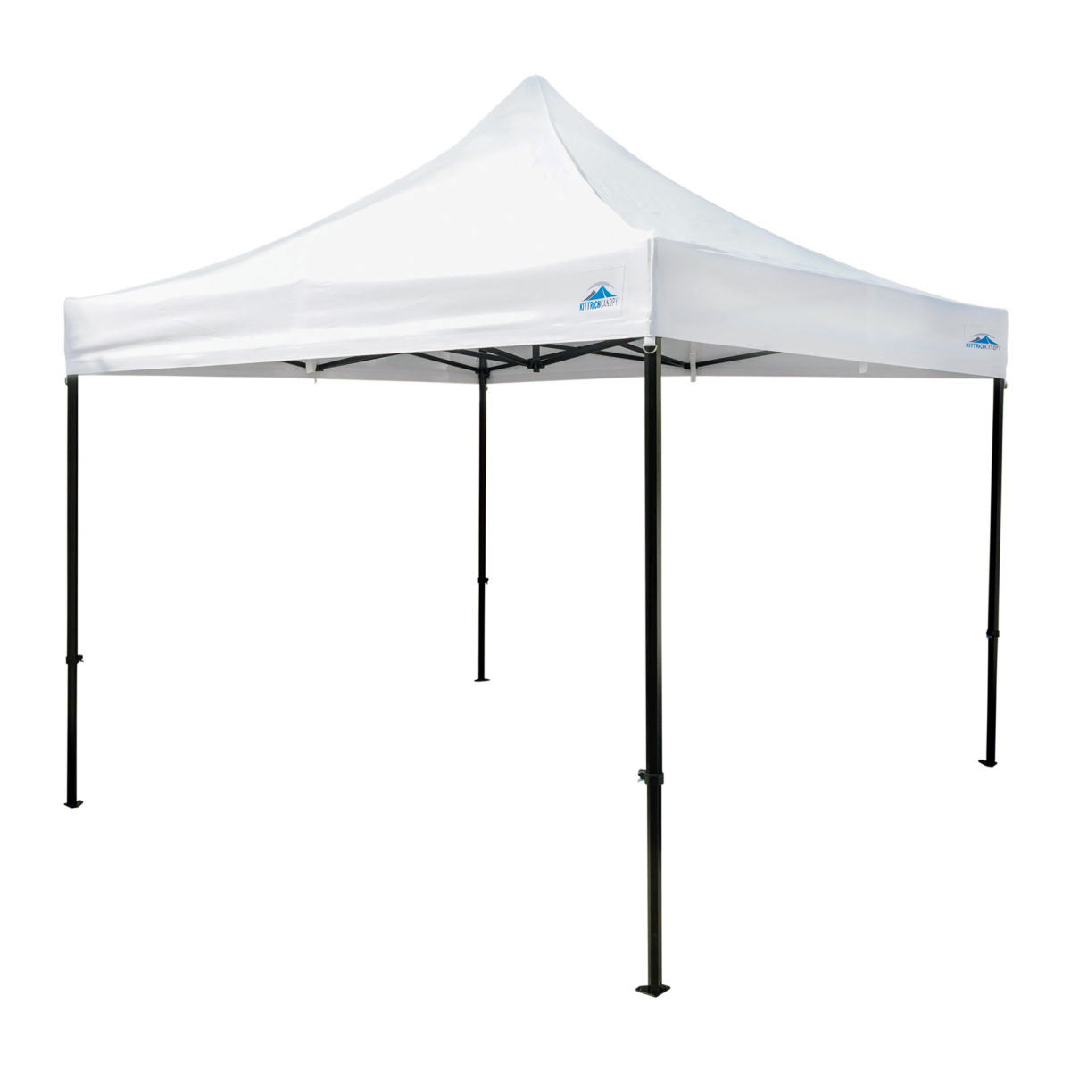 10' x 10'