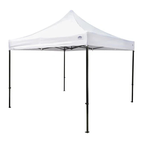 10' x 10'